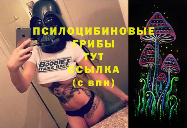 винт Арсеньев