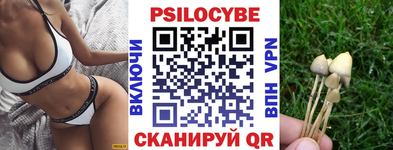 Галлюциногенные грибы прущие грибы  Арсеньев 